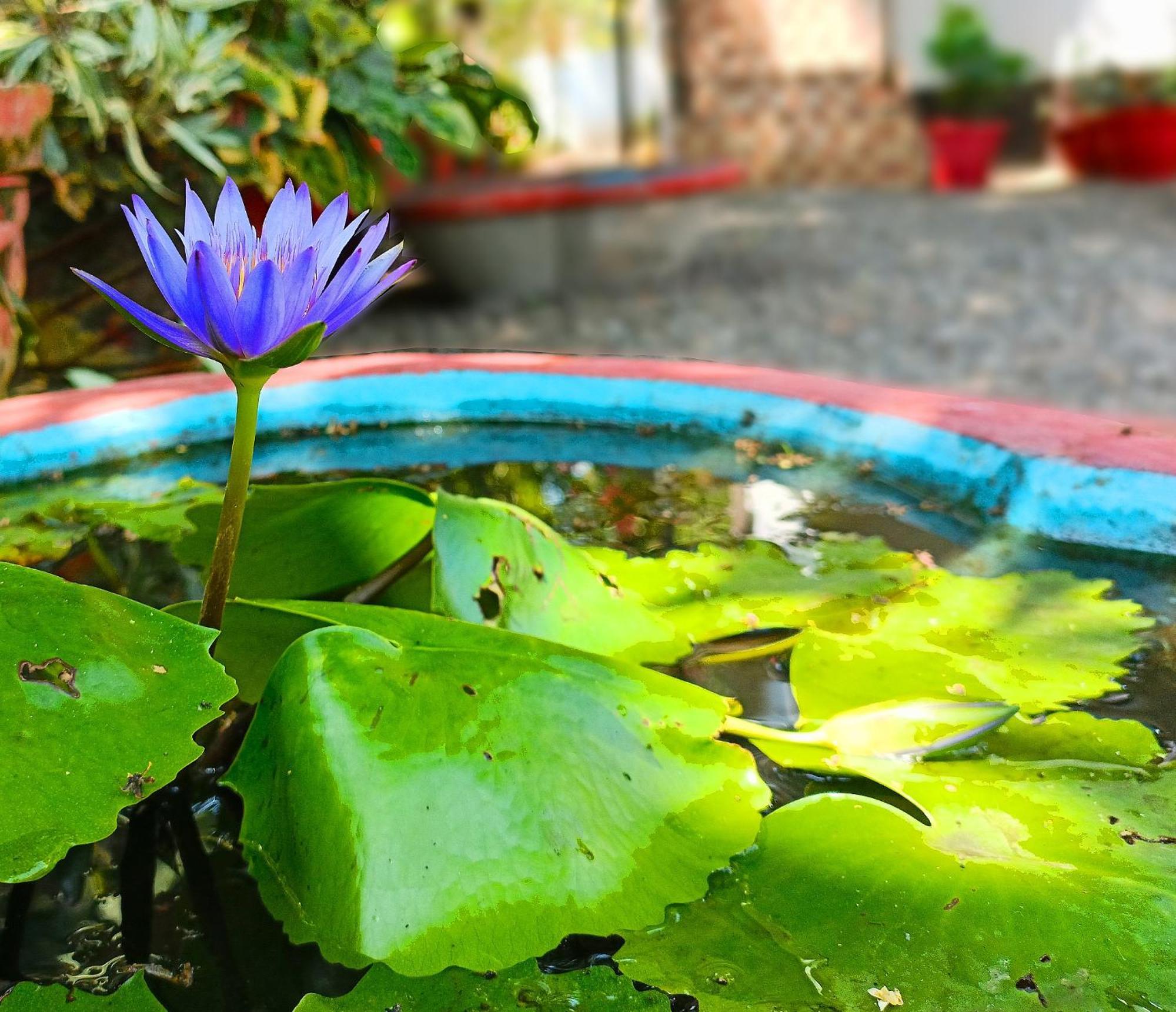 Alma Homestay 마라리쿨람 외부 사진