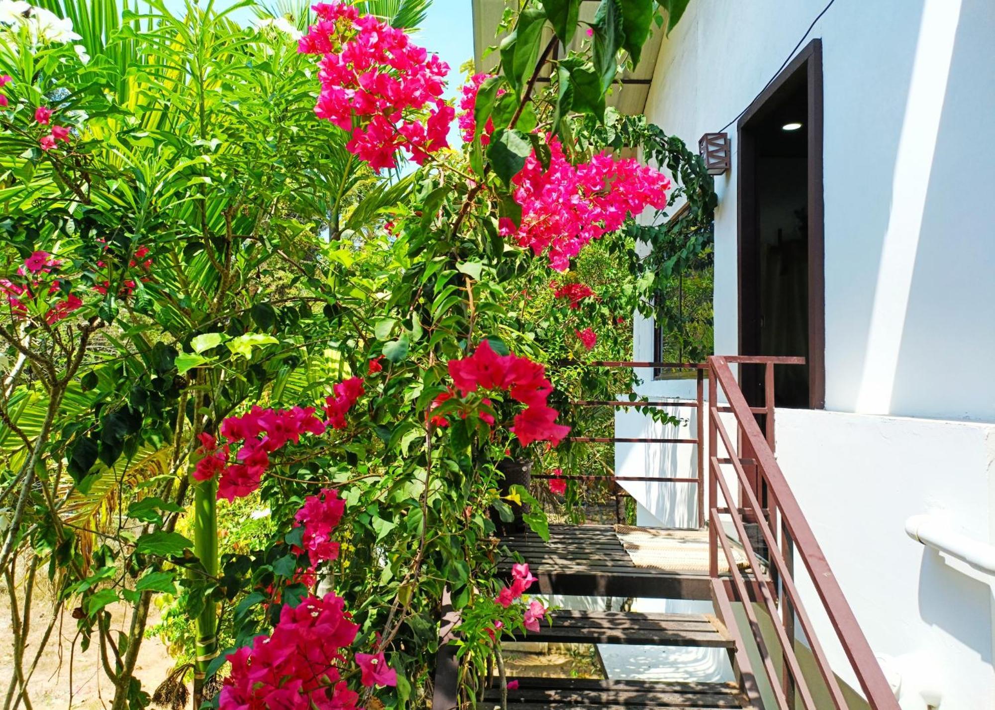 Alma Homestay 마라리쿨람 외부 사진